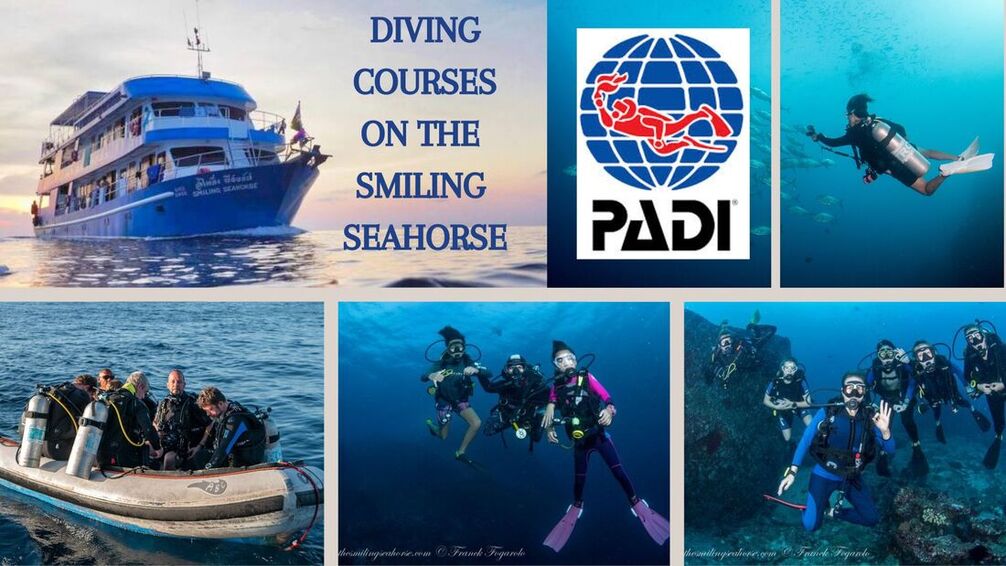 Take a PADI Dive course onboard!