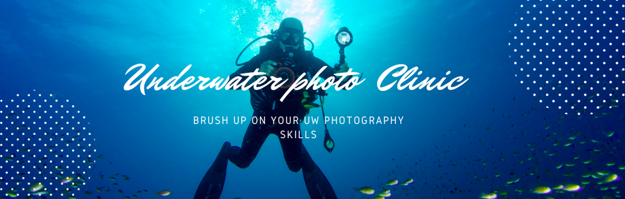 Fishing with the Cheapest Underwater Camera (How to Set Up, DIY Tripod,  Cool Underwater Bites) 