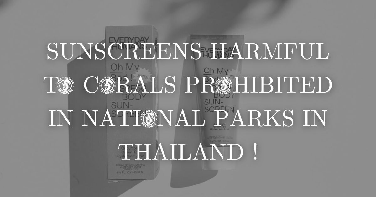 sencreens harmful to corals prohibited thailand