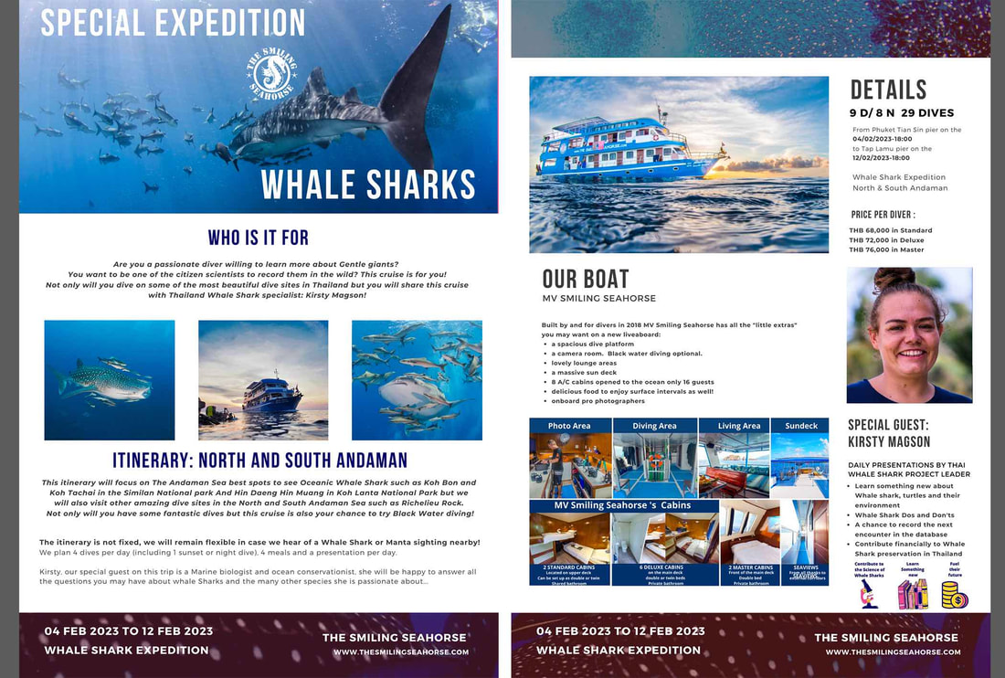 Whaleshark expedition 2023 Thailand
