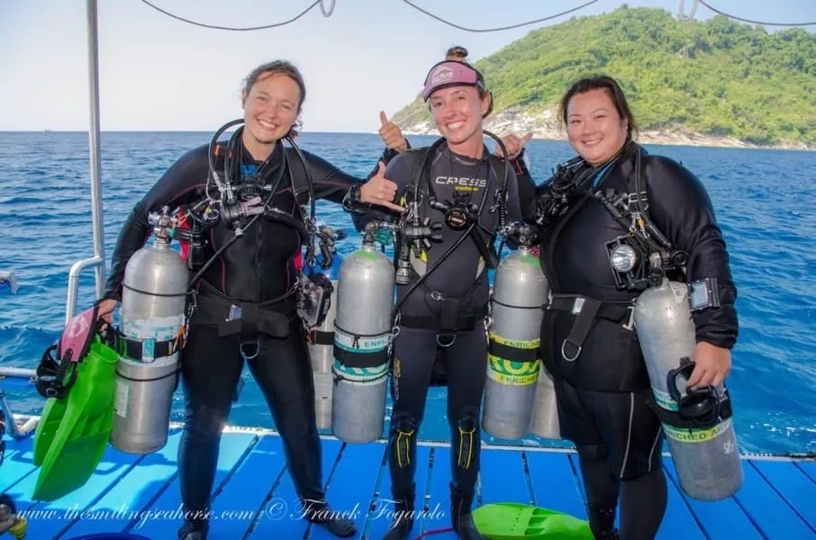 learn how to dive and protect life under the sea