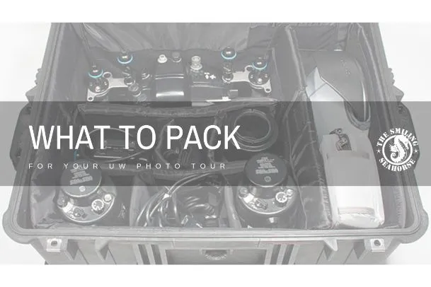 What to pack for your next liveaboard