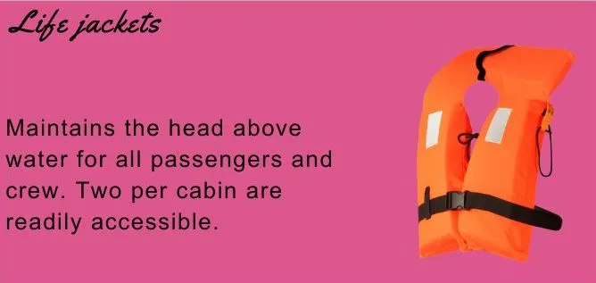 Maintains the head above water for all passengers and crew. Two per cabin are readily accessible.Picture