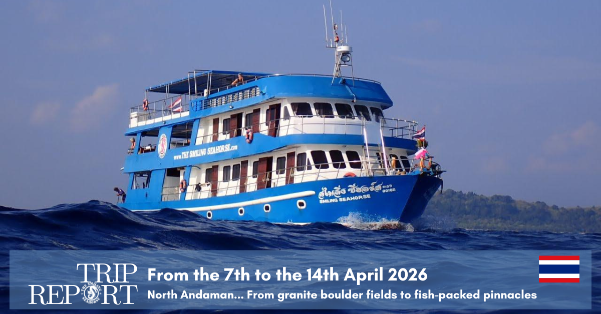 The MV Smiling Seahorse liveaboard boat cruising through the blue waters of the North Andaman Sea, Thailand, during a dive expedition.