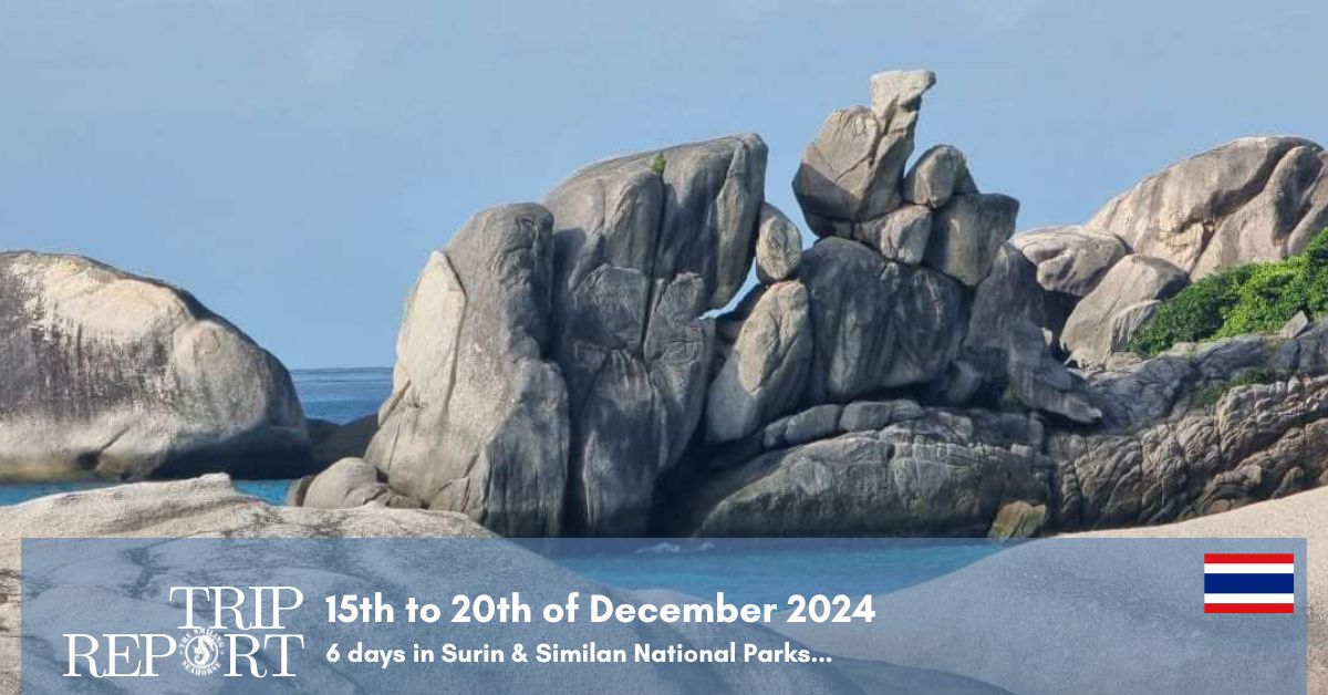 15th December 2024 liveaboard trip report