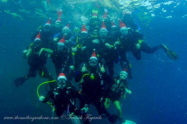 Our great Christmas trip
