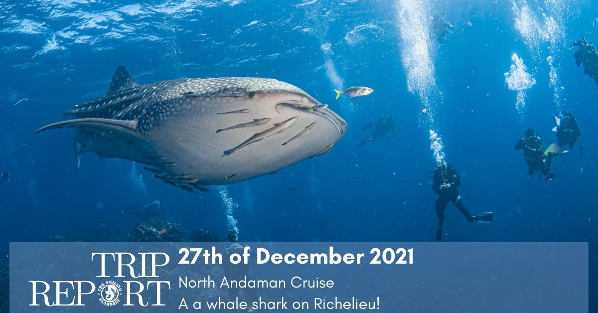 Trip report december