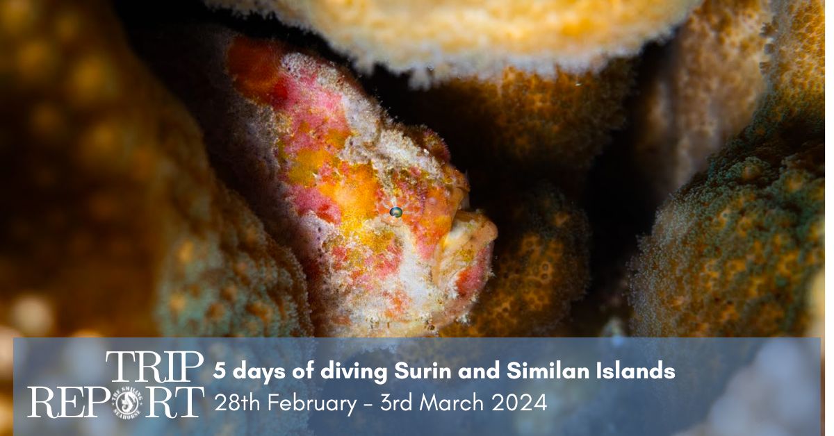 trip report 28th february 2024 north andaman liveaboard in surin and similan islands