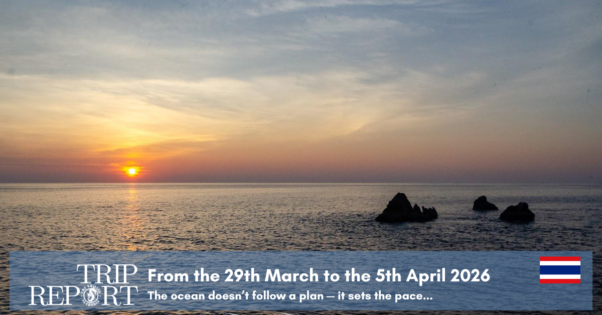 A wide sunset view over the calm Andaman Sea with rocky islands on the horizon, featuring a