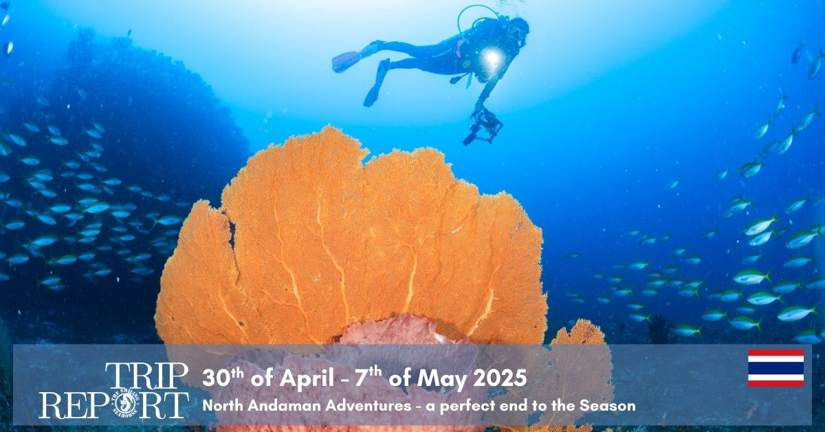 Last trip of the season in surin and similan islands
