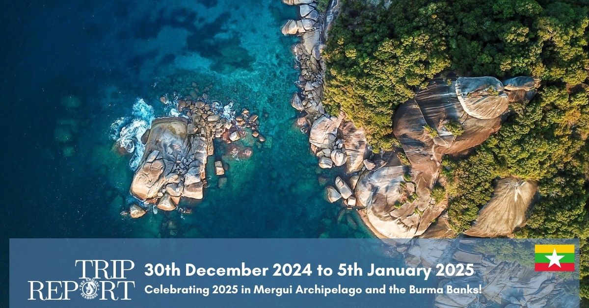 celebrating a new year on a liveaboard