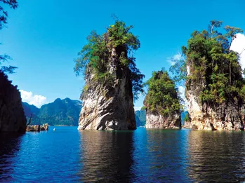 A beautiful particularity of Khao Sok National Park