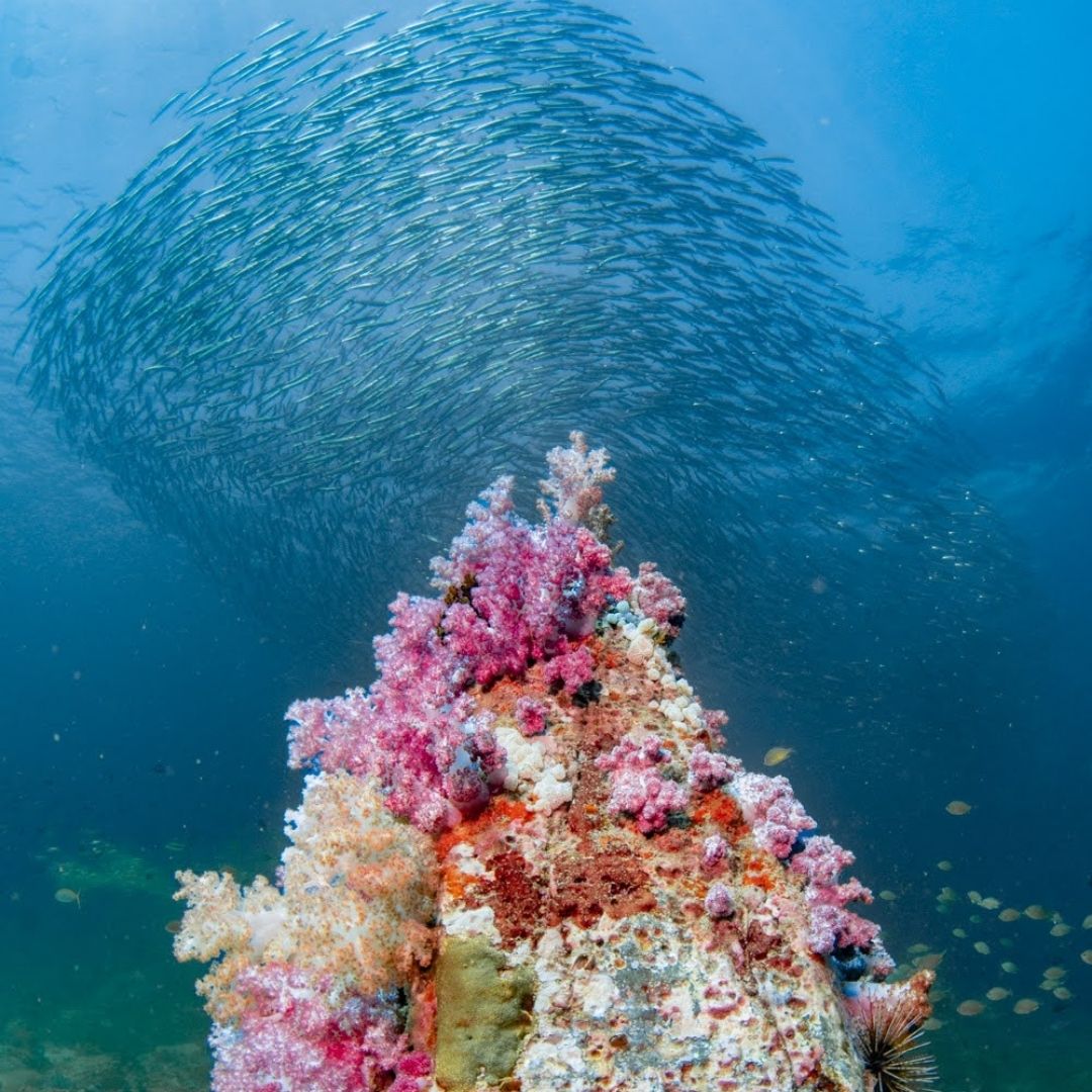 Stonehenge at Koh Lipe, Tarutao National Park