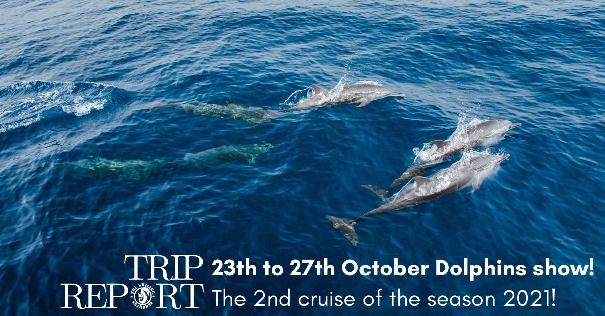 Clear blue sky and dolphins dream for our second trip of the season on the Andaman Sea!