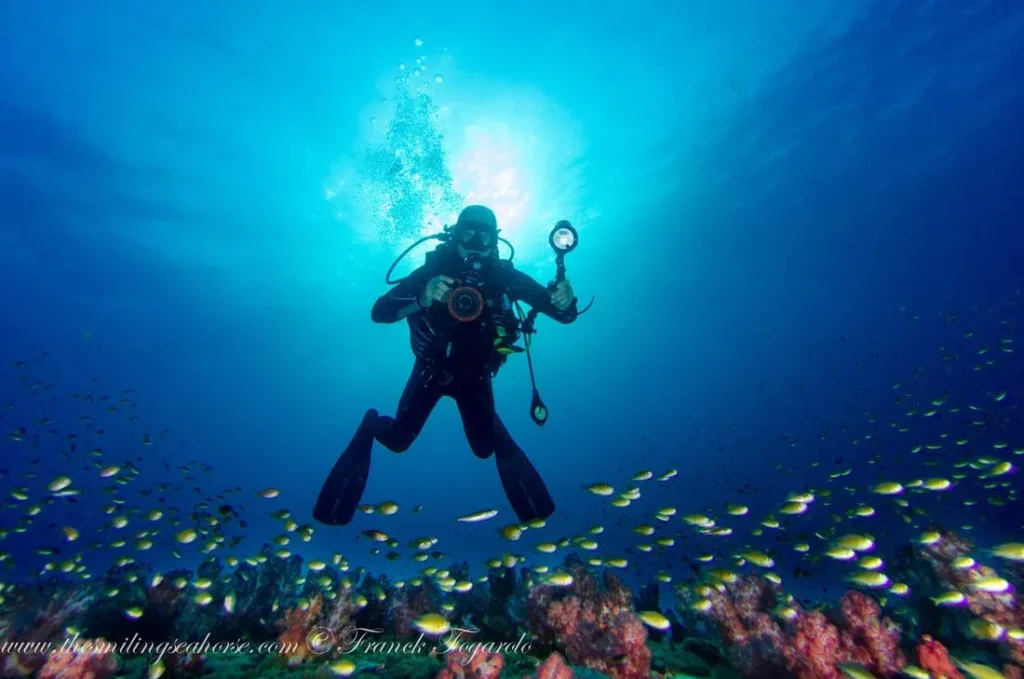 underwater photographer above the reef