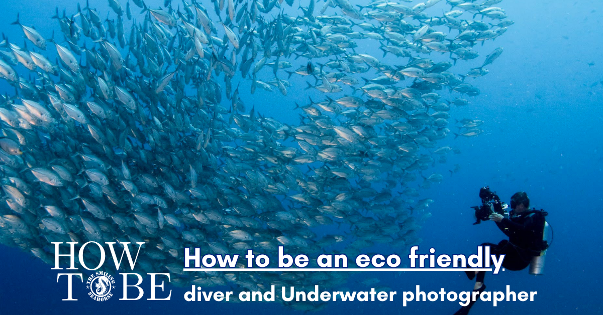 how to be an eco friendly photographer