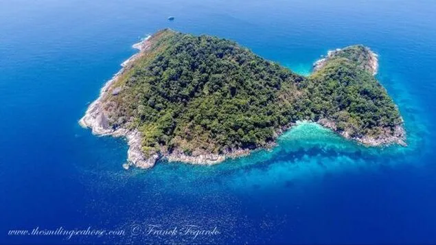 North Twin Dive site in Mergui Archipelago, Myanmar