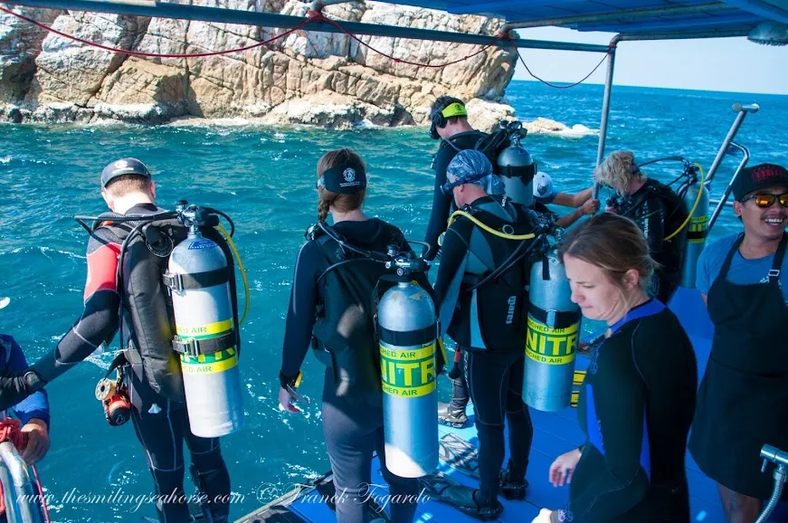 Enriched Air Nitrox will teach you to dive with mixed gas up to 40% oxygen.