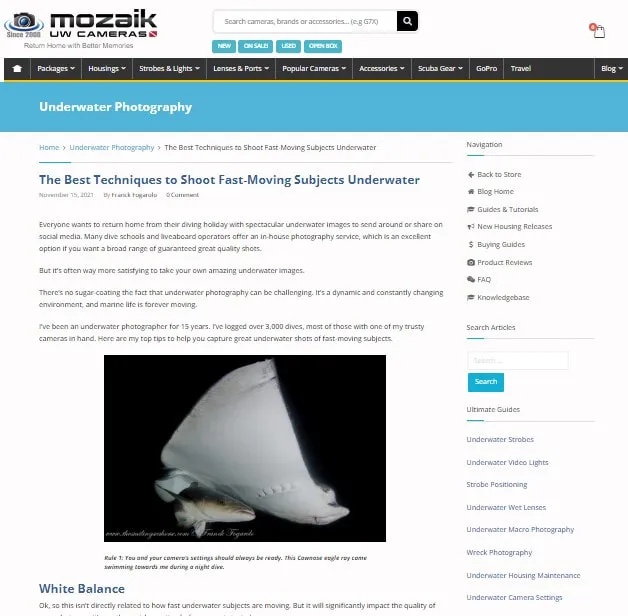 The Best Techniques to Shoot Fast-Moving Subjects Underwater