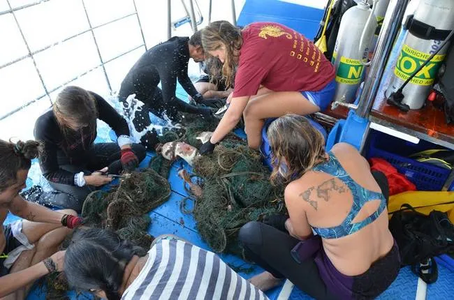 Operation seabed cleaning, The Smiling Seahorse
