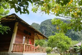 Monkey Mansion