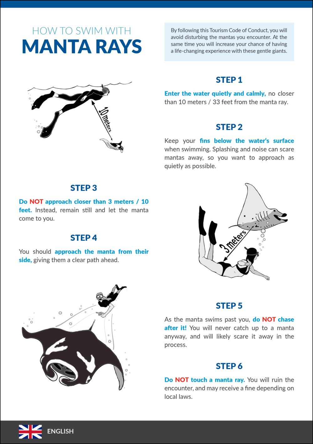 Responsible diving guidelines for encounters with manta rays