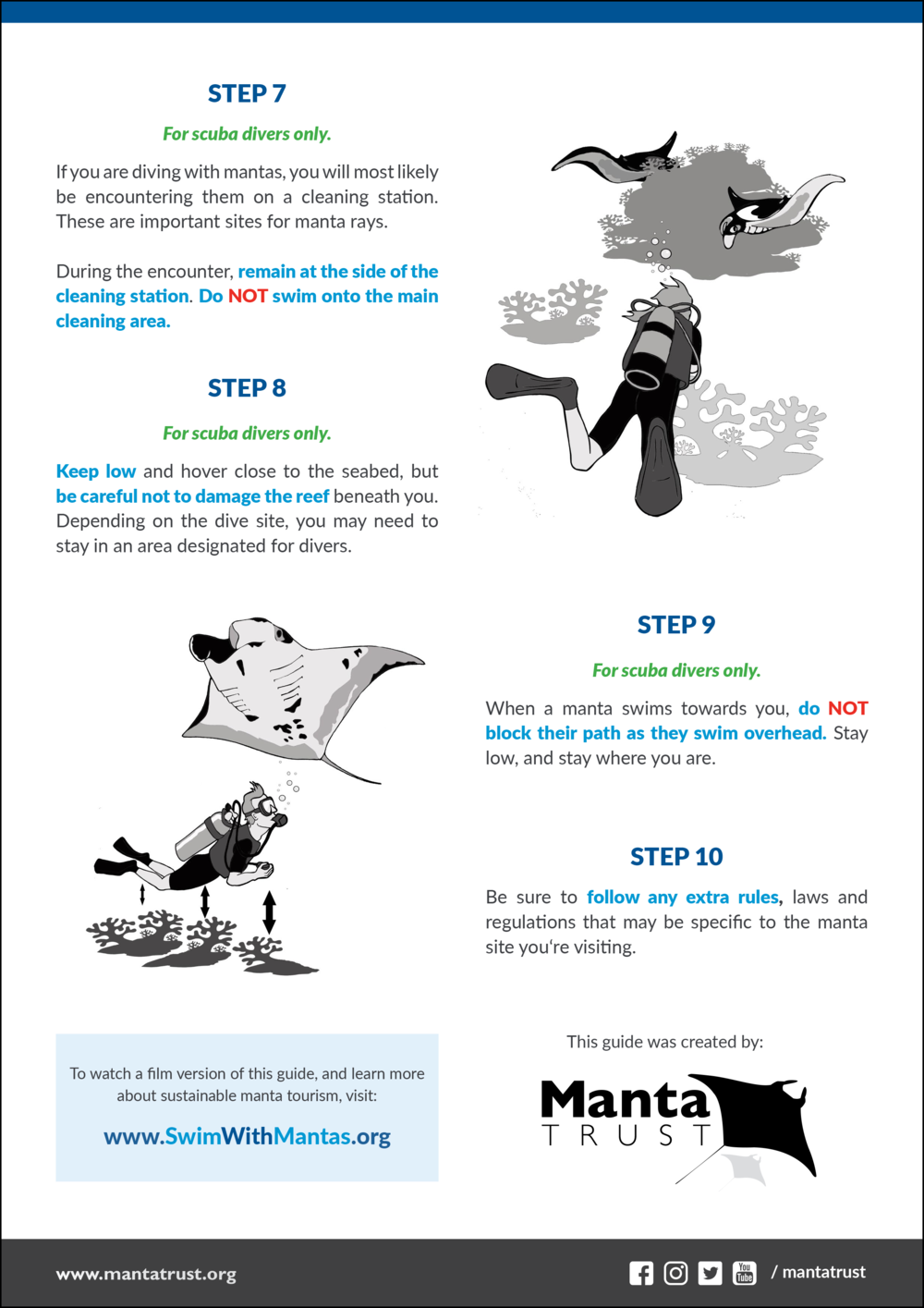 Manta ray responsible diving code of conduct