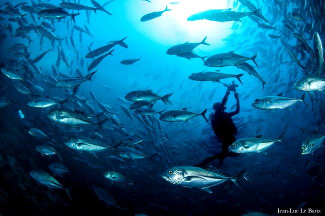 Mergui Archipelago cruise full of life...