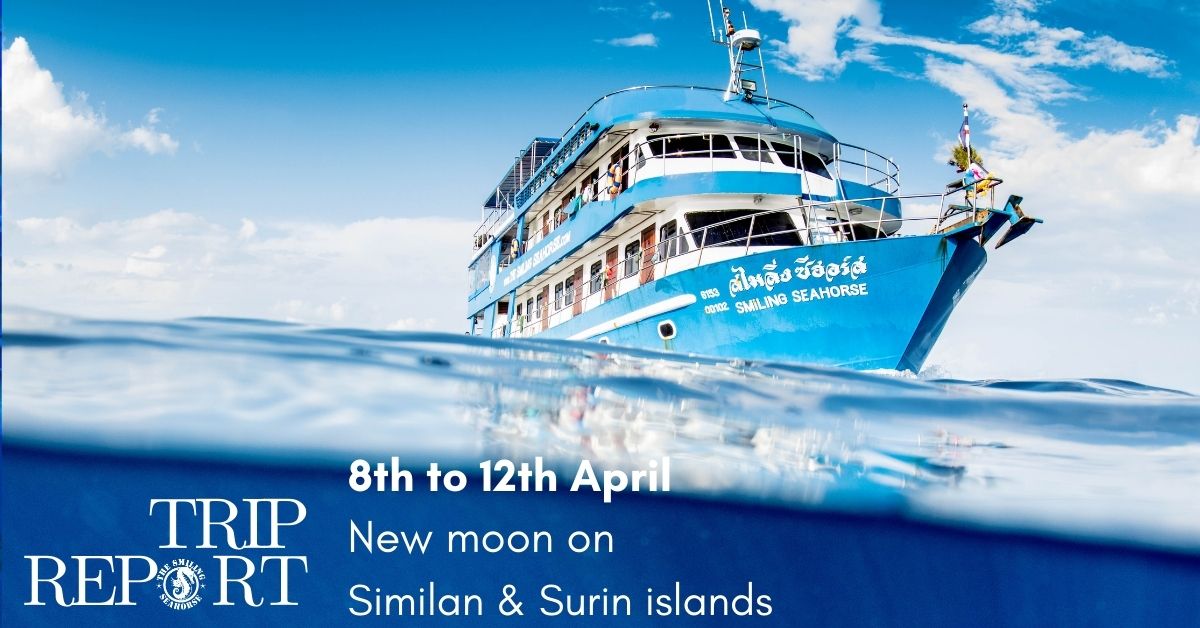 8th to 12th f April 2022 diving expedition on The Smiling Seahorse in Thailand