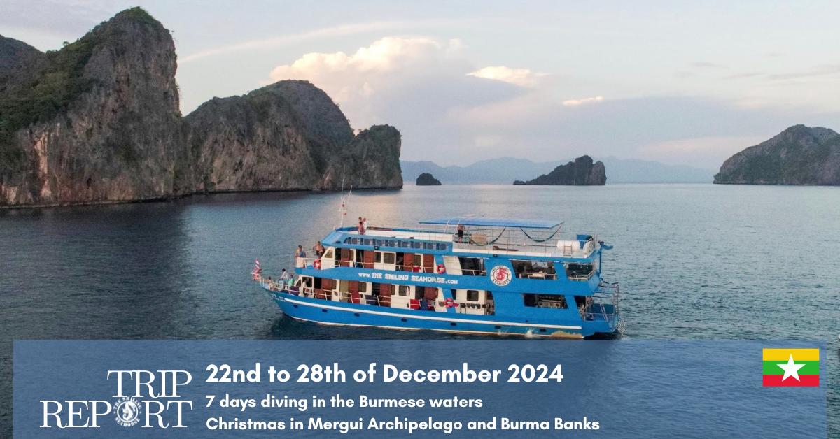 22nd of december 2024 liveaboard cruise report