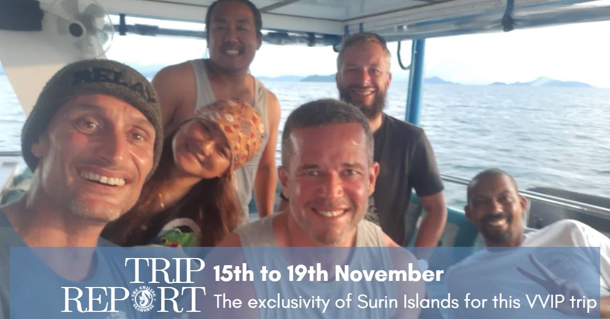 trip report 19-25 nov 21