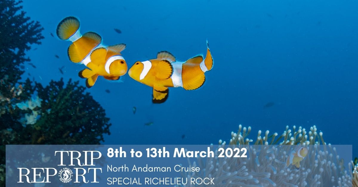 Trip report Andaman cruise