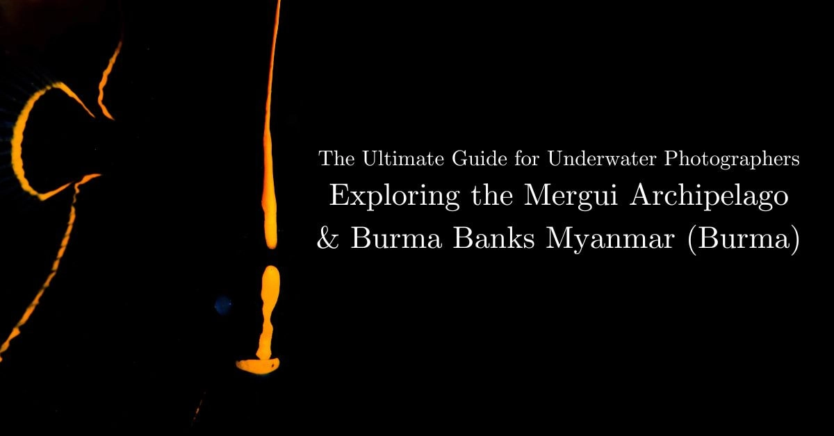 An Underwater photographer’s ultimate guide to the Mergui Archipelago