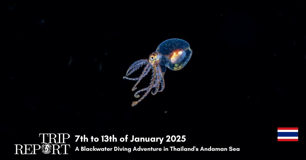 trip report 7th January 2025 - blackwater expedition