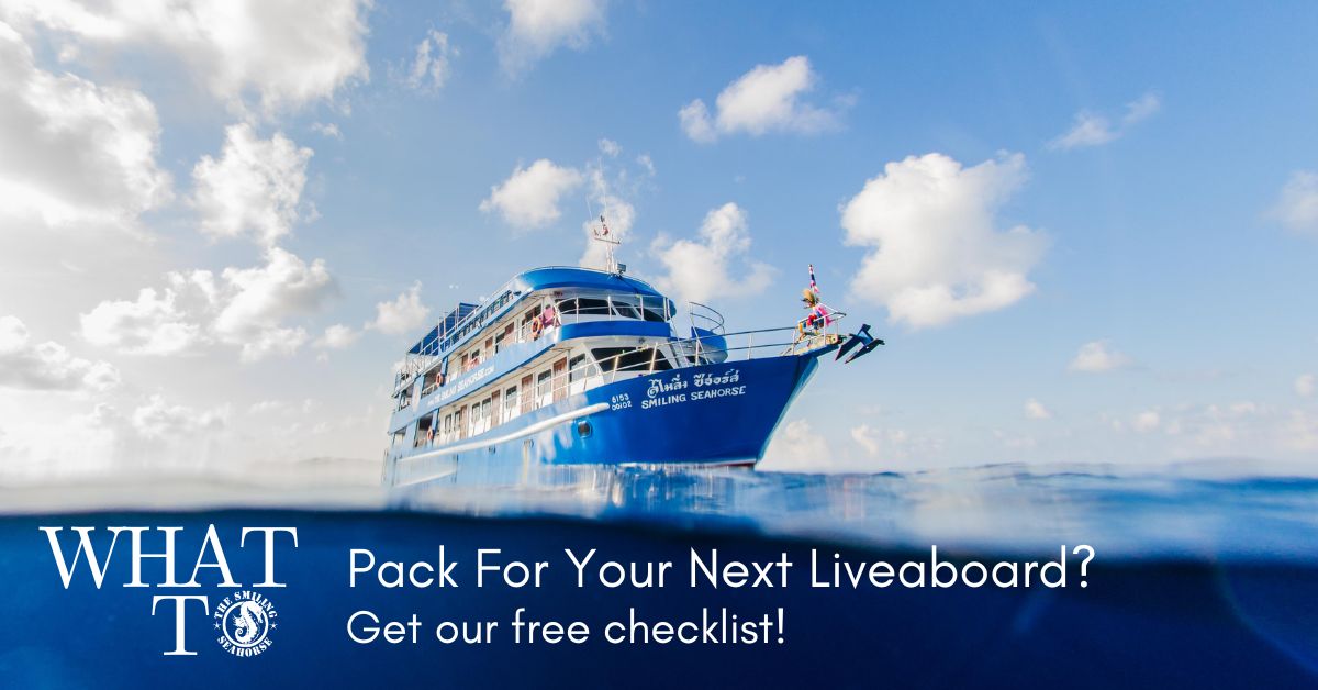 What to pack for your next liveaboard?