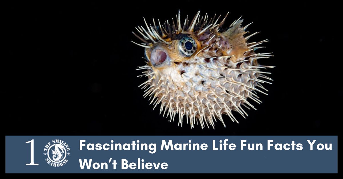 All about marine life and astonishing facts about it...