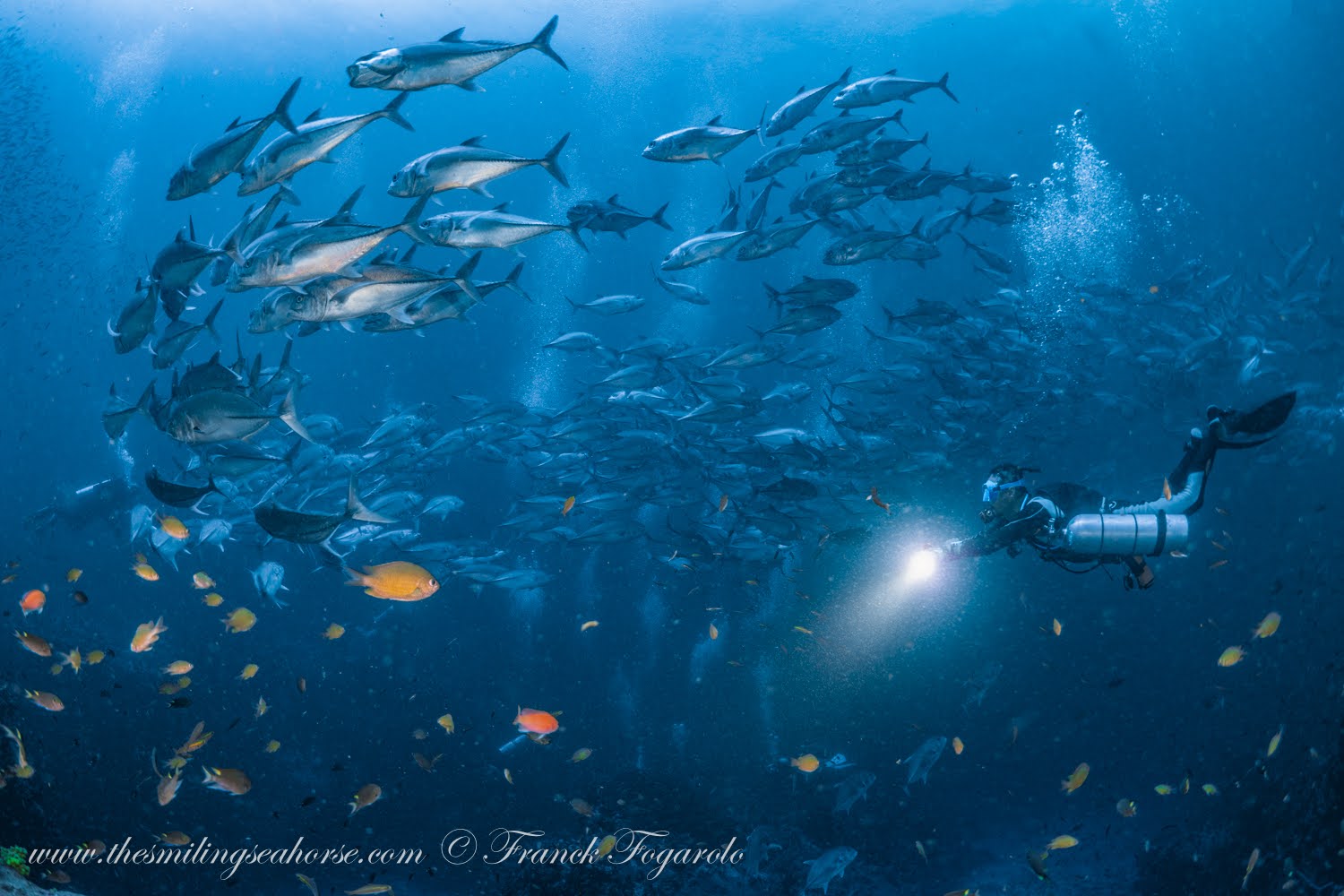 dive safety at the burma banks