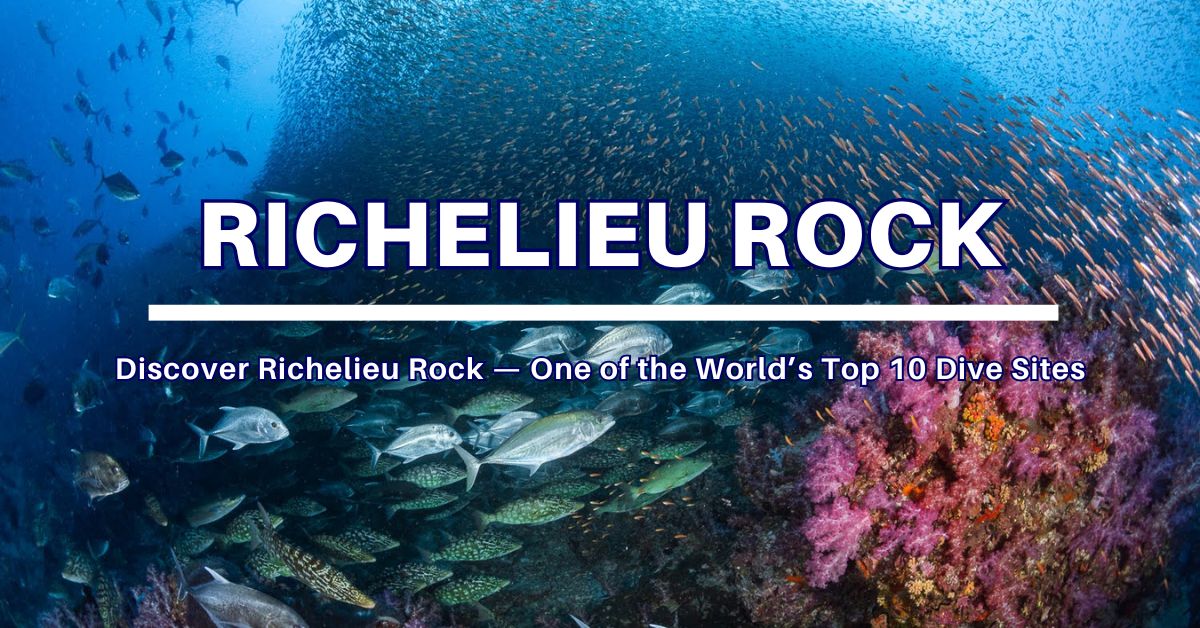 Richelieu Rock is a remote dive site part of Surin national park