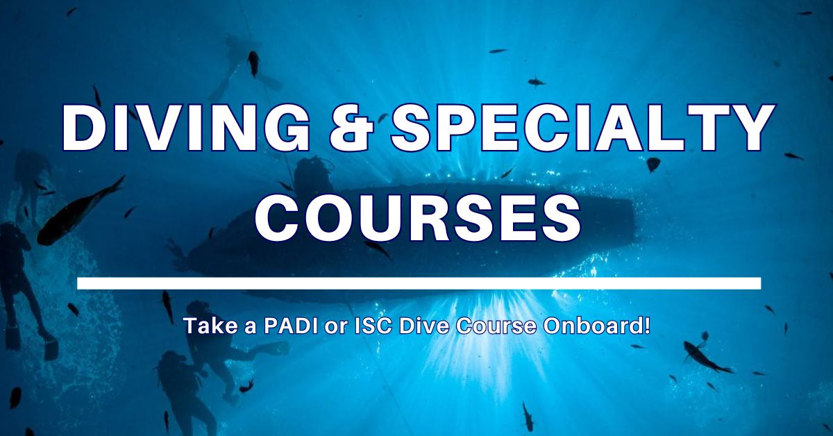 Diving and specialty courses onboard The Smiling Seahorse