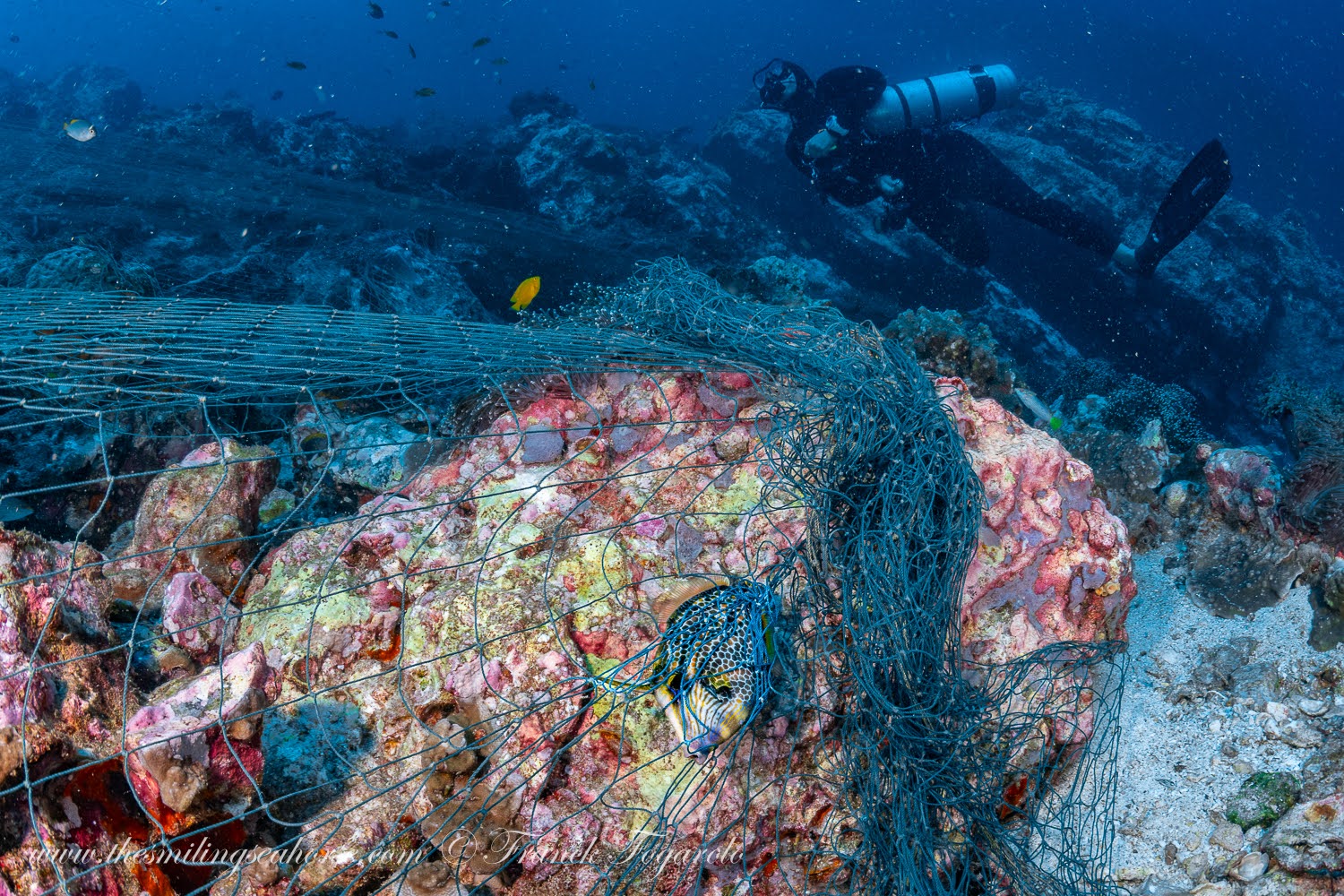 Ghost net Mergui Archipelago