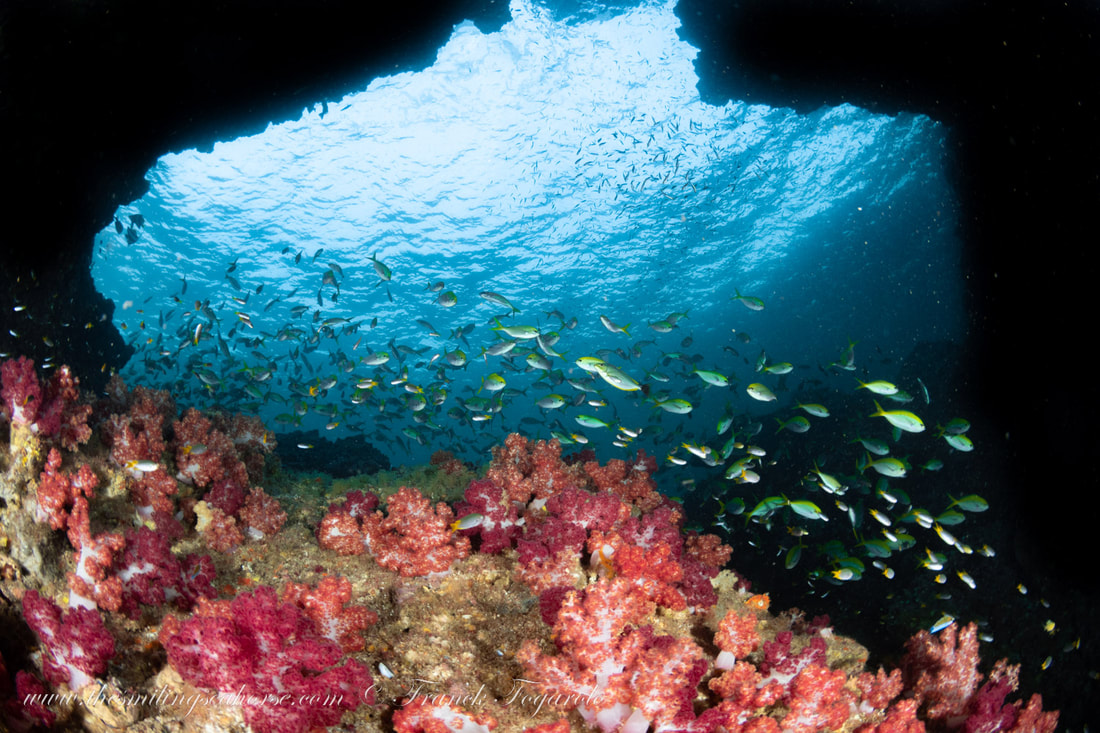 Koh Haa, The Chimney