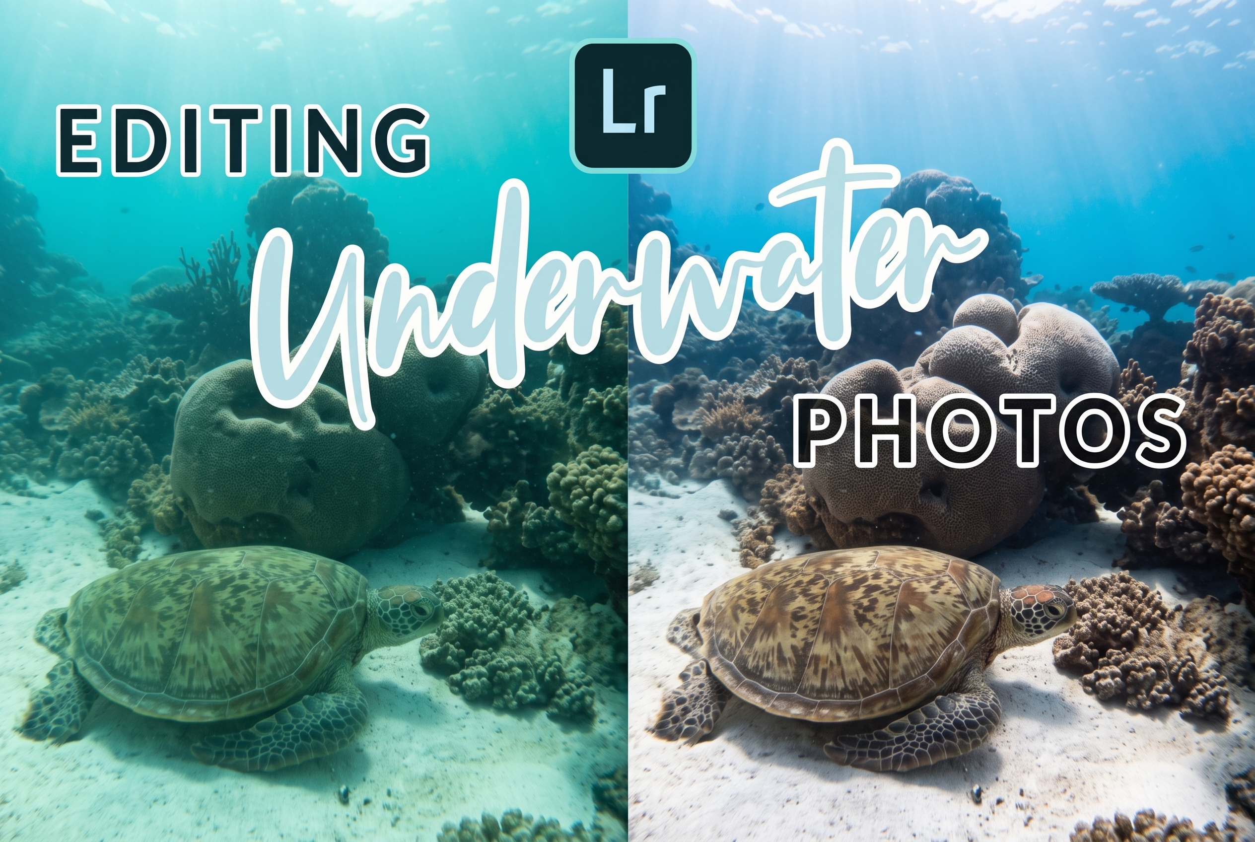 Lightroom editing and post-processing