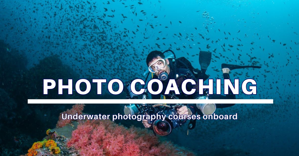Photo coaching onboard