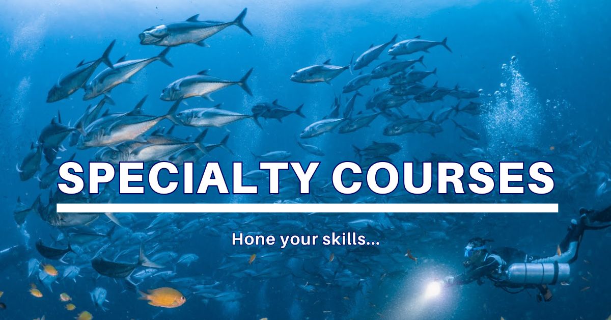 Specialty courses