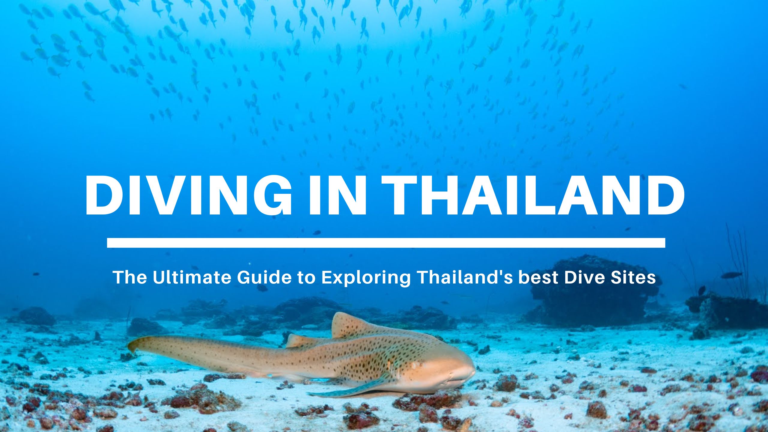 diving in thailand - the guide to the Andaman Sea best dive sites