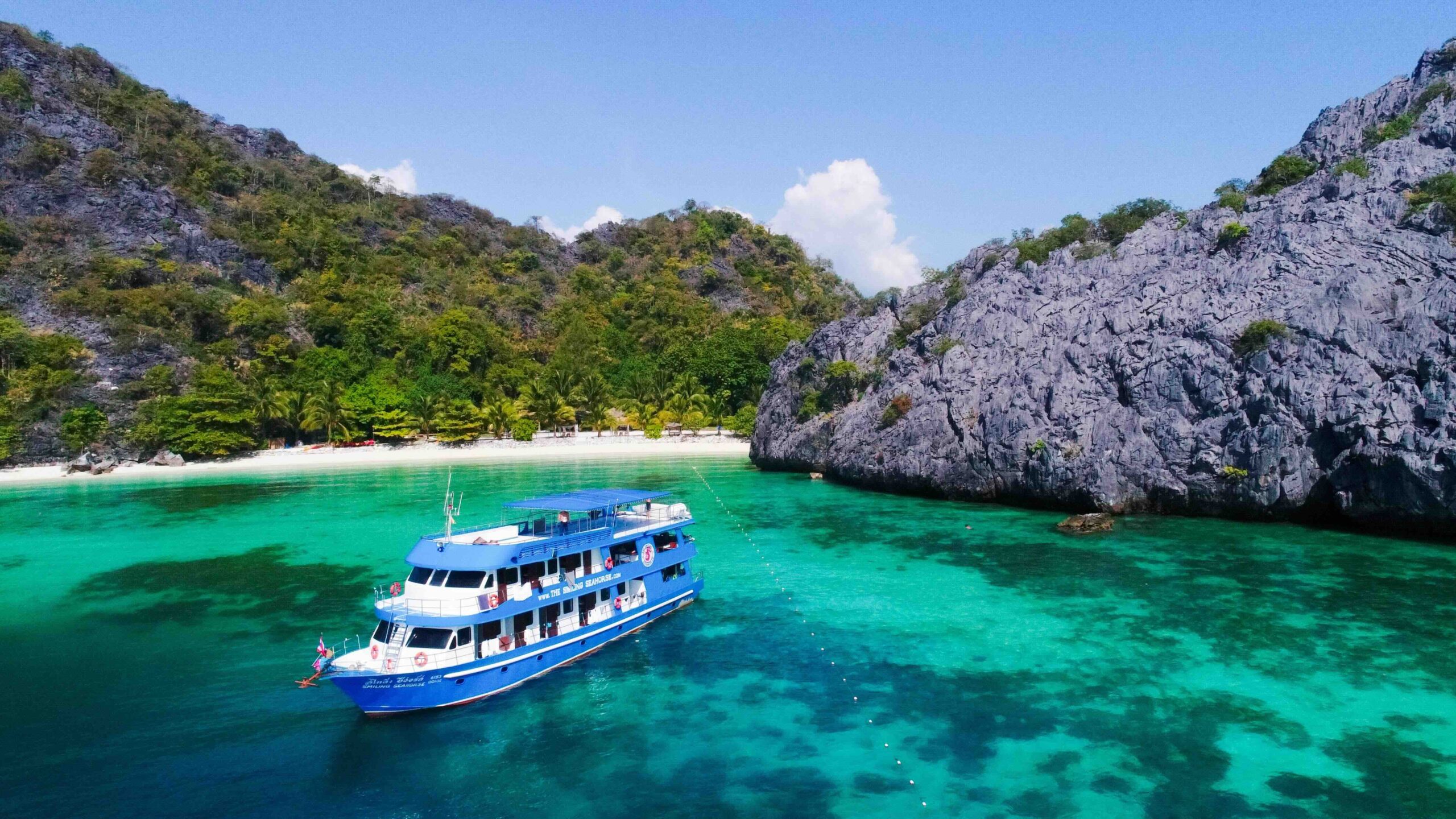 Private charter aboard the MV Smiling Seahorse