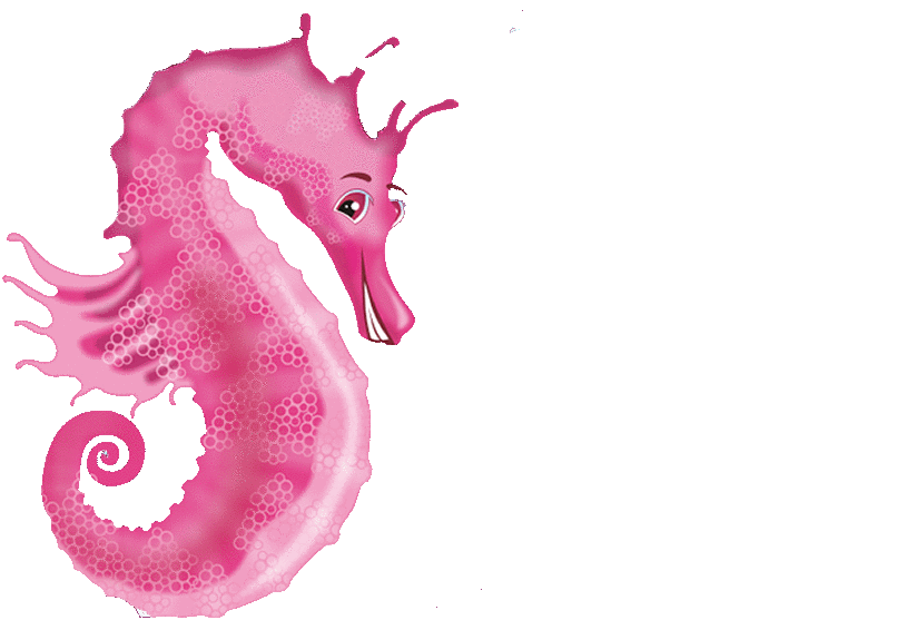The Smiling Seahorse